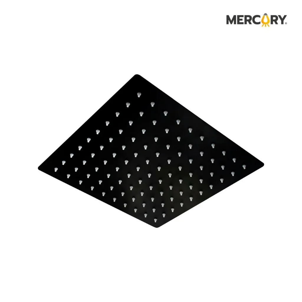 12.webp