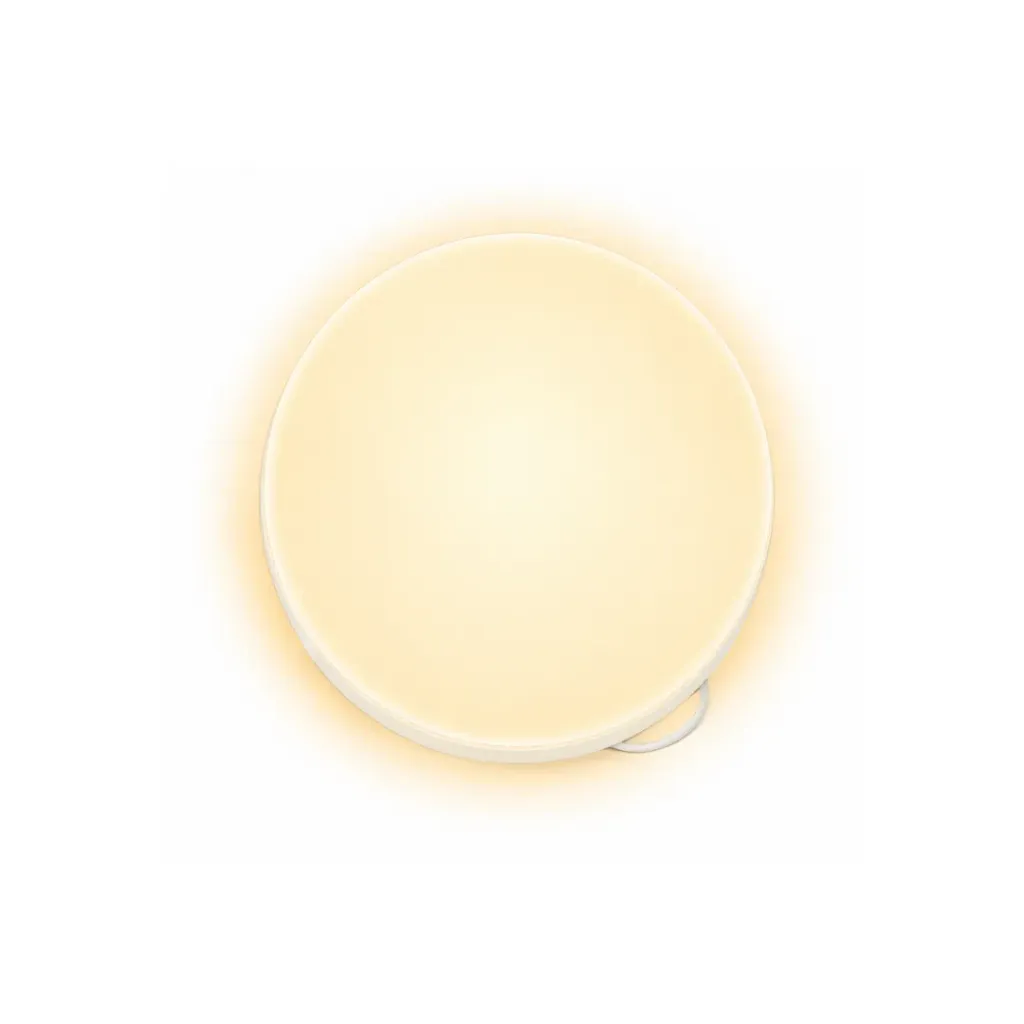 [2960] PANEL LED FRAMELESS 18W REDONDO LUZ CALIDA SOBREPONER (IPL235)