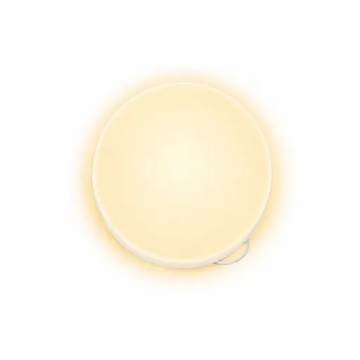 [2961] PANEL LED FRAMELESS 24W REDONDO LUZ CALIDA SOBREPONER (IPL236)