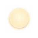 PANEL LED FRAMELESS 36W REDONDO LUZ CALIDA SOBREPONER (IPL237)